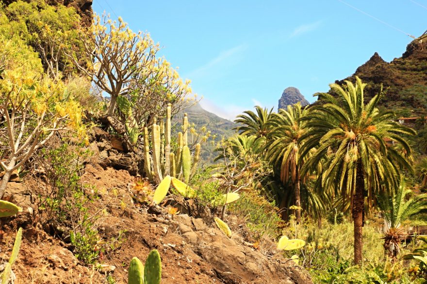 Údolí pod Roque de Agando a vesnicí Benchijiuga, Gomera