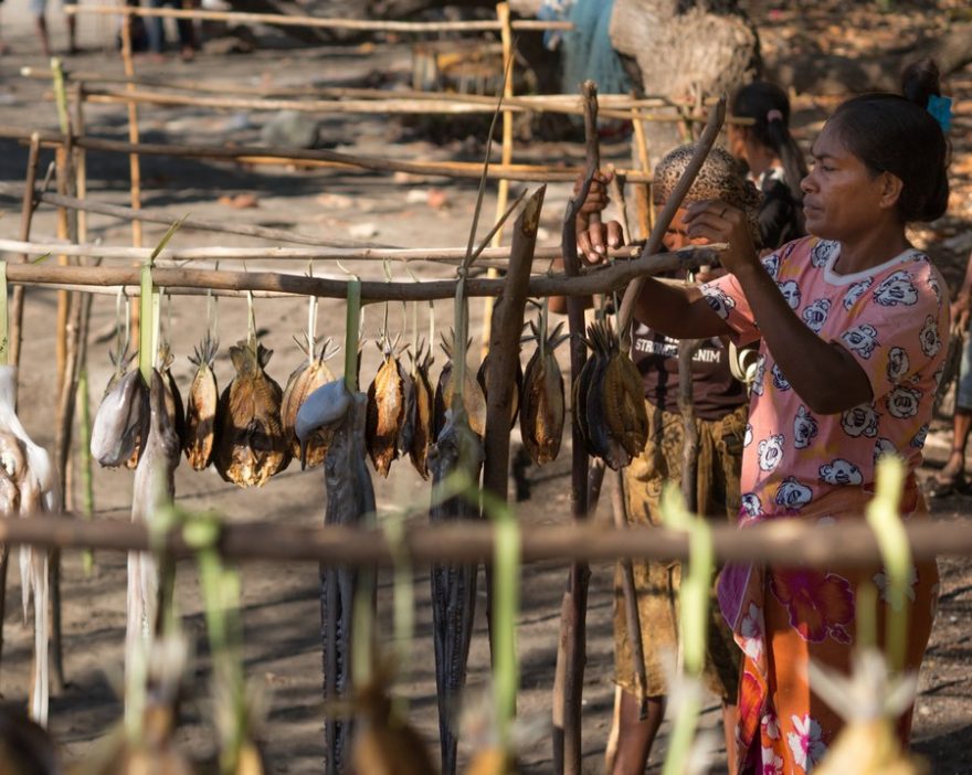 Prodejci na trhu nabízejí všechno od barakud po chobotnice, Atauro, Timor Leste