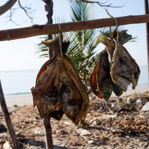Ryby, které se nesní čerstvé, se nasuší na později, Atauro, Timor Leste
