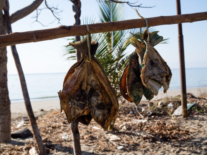 Ryby, které se nesní čerstvé, se nasuší na později, Atauro, Timor Leste