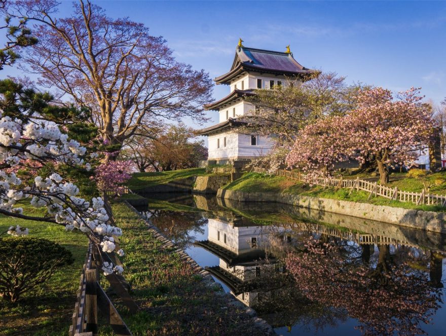 Obyvatelé Japonska se každý rok těší na jaro.