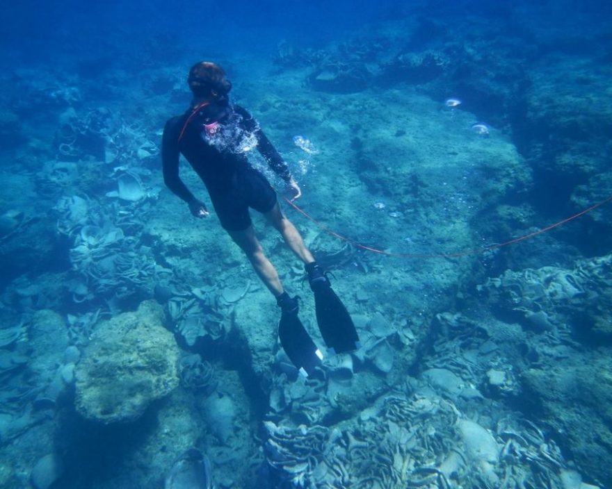 Při potápění jste v bezpečí pod dohledem zkušených instruktorů