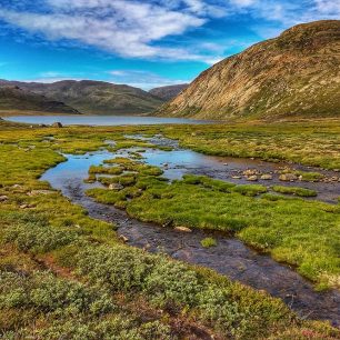 Místy je Grónsko opravdu zelenou zemí