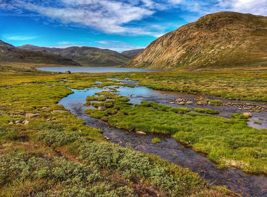 Místy je Grónsko opravdu zelenou zemí