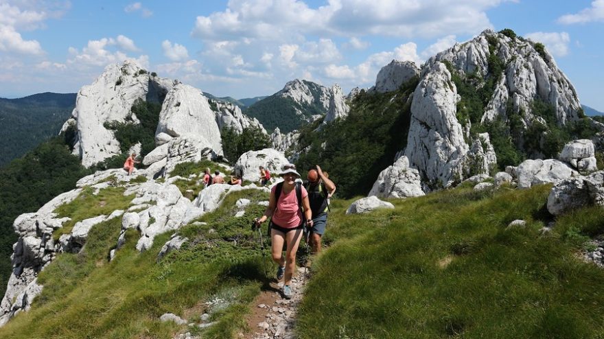 Dabarski kukovi, Chorvatsko