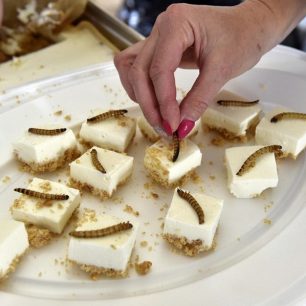 Fotografie z minulých ročníků