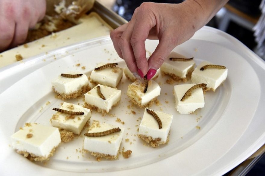 Fotografie z minulých ročníků