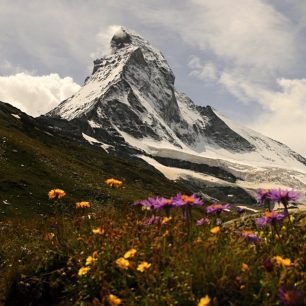 Matterhorn se tyčí nad pastvinami u Stafel Alp