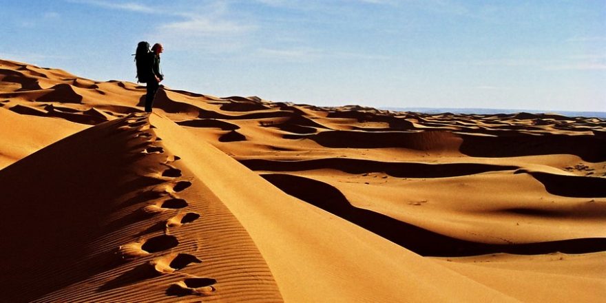 Cesta přináší moudrost, svobodu, poznání a smysl