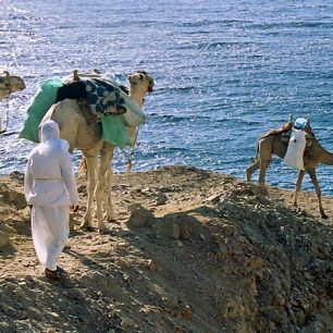 Poutníci starozákonní doby cestovali pěšky, na velbloudech, koních nebo oslech tisíce kilometrů napříč nehostinnou pustinou