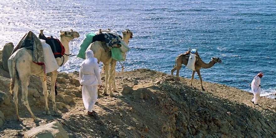 Poutníci starozákonní doby cestovali pěšky, na velbloudech, koních nebo oslech tisíce kilometrů napříč nehostinnou pustinou