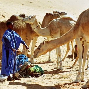 Mnoho starozákoních poutníků pro své cesty využívalo velbloudy