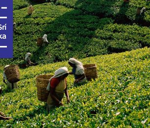 Cestovatelské kino: Srí Lanka