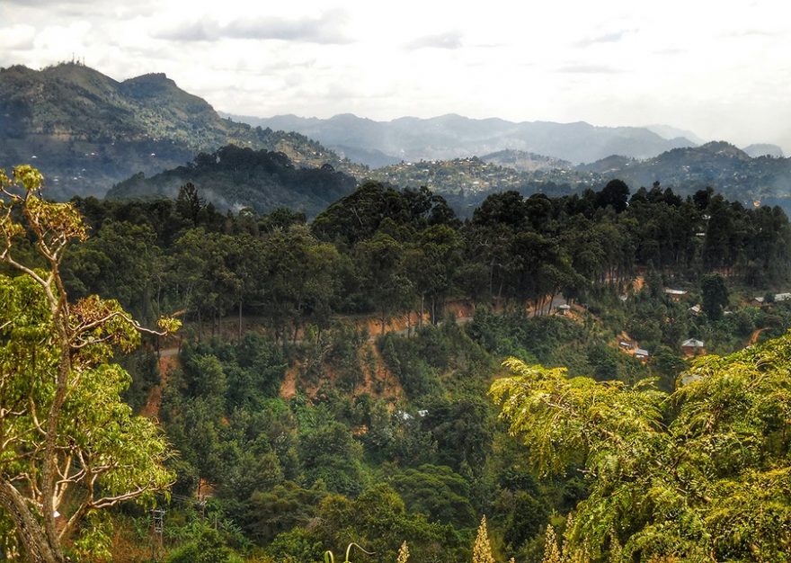 Pohoří Usamabara bylo kvůli chladnějšímu podnebí oblíbené již německými kolonialisty