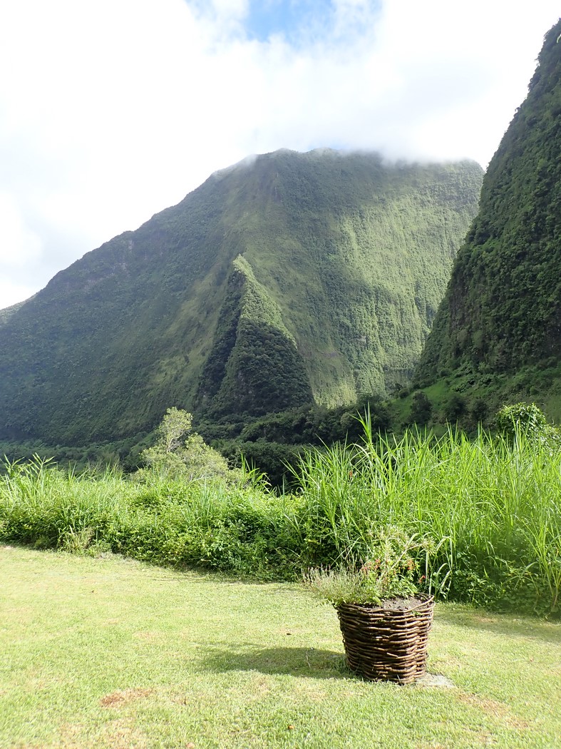 Mítsní krajina hraje všemi odstíny zelené