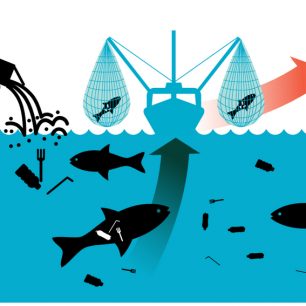 Mikroplasty jsou malé částečky vzniklé působením mechanické eroze, eroze slanou vodou a UV zářením z velkých plastů