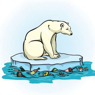  Po celou dobu hodláme provádět měření koncentrace mikroplastů ve zdejší mořské vodě a pozorování místní fauny a flory