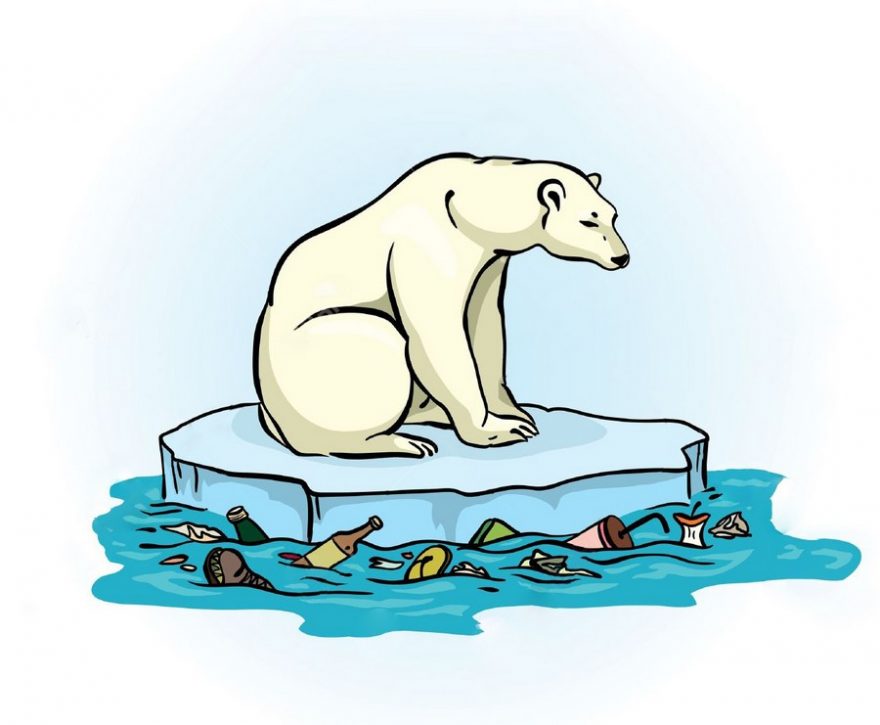  Po celou dobu hodláme provádět měření koncentrace mikroplastů ve zdejší mořské vodě a pozorování místní fauny a flory