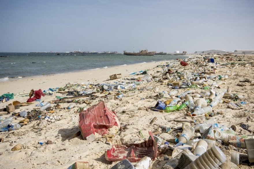 Plasty, mrtvá zvířata, kov i další odpadky vytvářejí směsici plnou zmaru