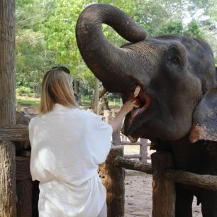 Sloní vesnice, Indie