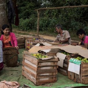 Pěstování rostlin je velmi důležitá obživa pro místní obyvatelstvo. Včetně citrusů, které vidíme na fotografii, to jsou chilli papričky, čaj, rýže.
