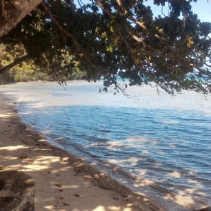 Giant clam sanctuary ze břehu vůbec není poznat