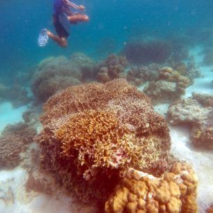 Při této prohlídce vás průvodce nudit výkladem nebude