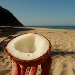 Na plážích si nelehejte přímo pod palmy, na hlavu by vám mohl přistát kokos