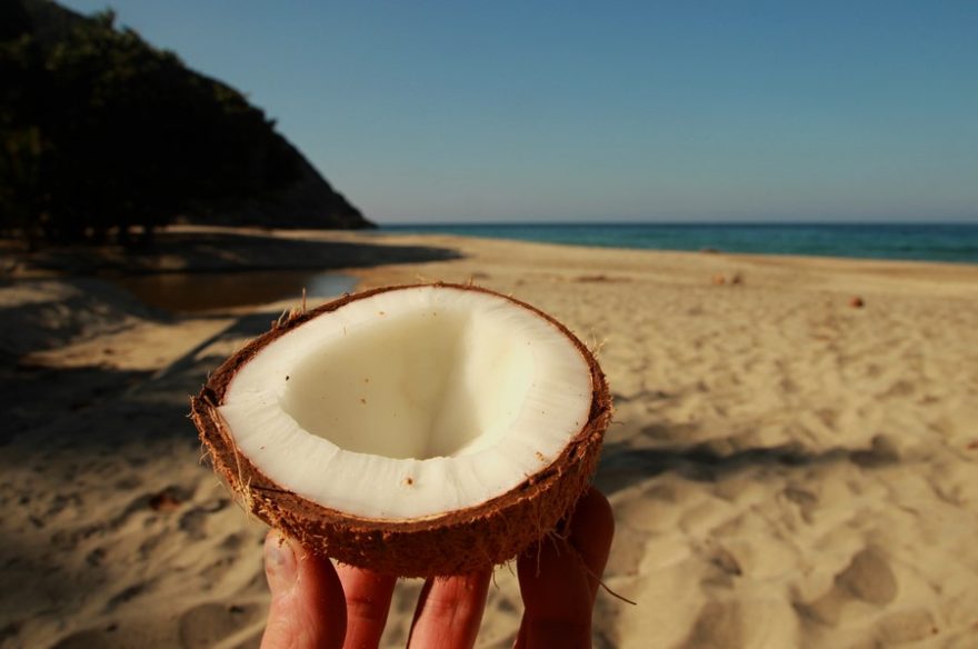 Na plážích si nelehejte přímo pod palmy, na hlavu by vám mohl přistát kokos