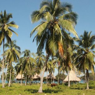 Playa Brava nabízí stylové bungalovy i možnost přespat ve vlastním stanu