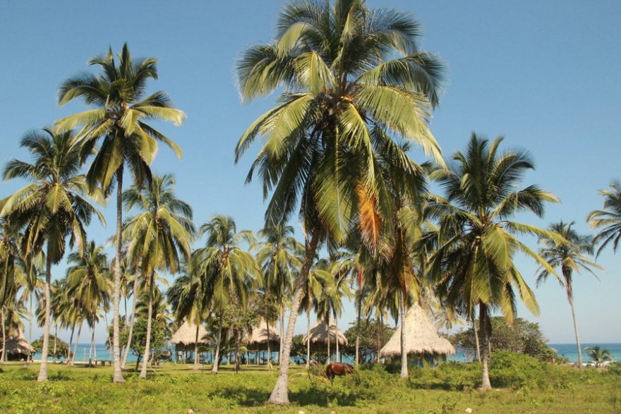 Playa Brava nabízí stylové bungalovy i možnost přespat ve vlastním stanu