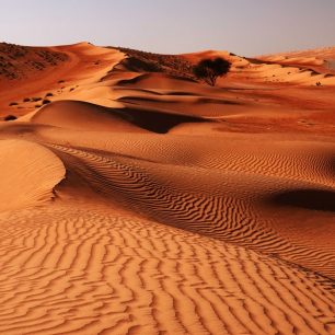 Duny písečné pouště Wahiba, zvané též Sharqiya Sands