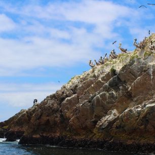 „Peruánské Galapágy“ – ostrovy Ballestas