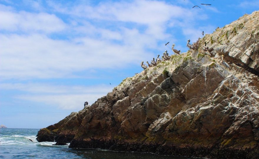 „Peruánské Galapágy“ – ostrovy Ballestas