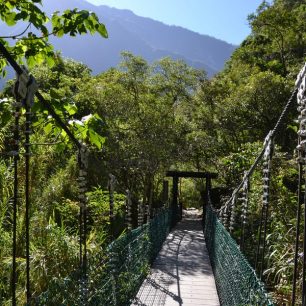 Jedna z procházek bujnou vegetací v národním parku Taroko