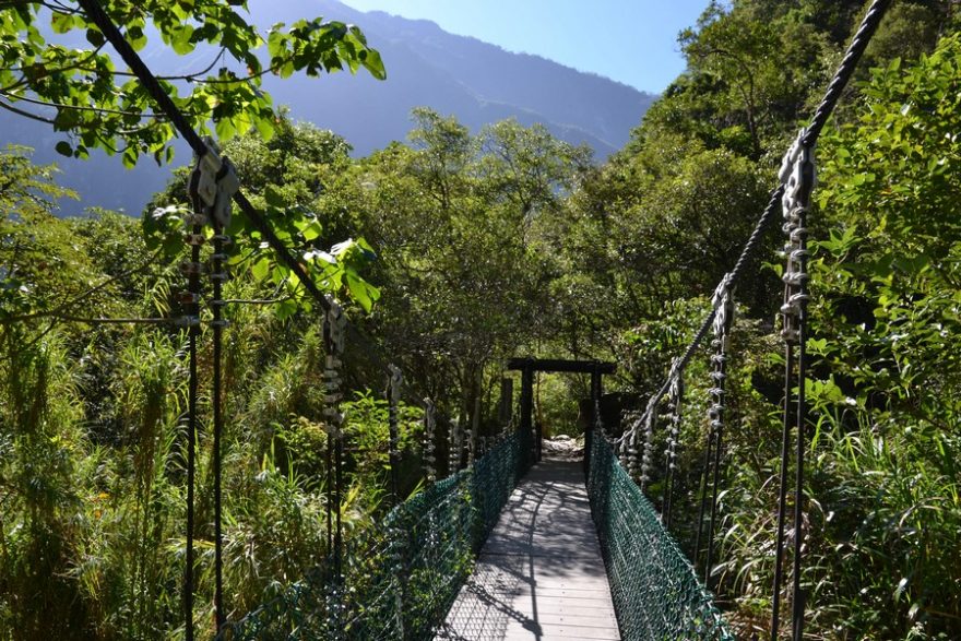 Jedna z procházek bujnou vegetací v národním parku Taroko