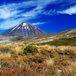 NP Tongariro