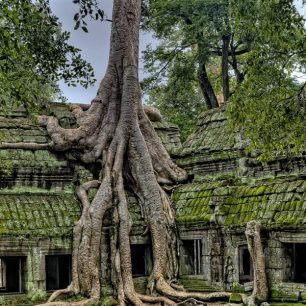 Ta Prohm, ponechán v původním stavu, tak jak byl nalezen, je postupně zcela pohlcován džunglí