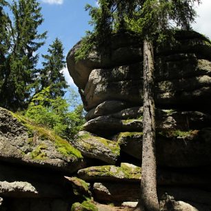Kousek od Lesovny se rozkládá nejstarší přírodní rezervace, Žofínský prales