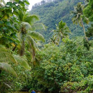 Průzkum údolí Faaroa, kterým protéká jediná splavná řeka Francouzské Polynésie, stejnojmenná Faaroa River