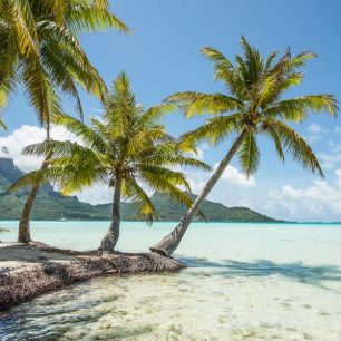Motu je nízký písečný ostrůvek na vnějším okraji laguny, vysněný robinsonovský ostrov, kde můžeme meditovat pod palmami
