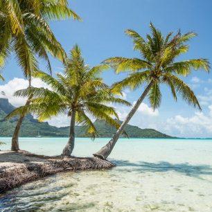 Motu je nízký písečný ostrůvek na vnějším okraji laguny, vysněný robinsonovský ostrov, kde můžeme meditovat pod palmami