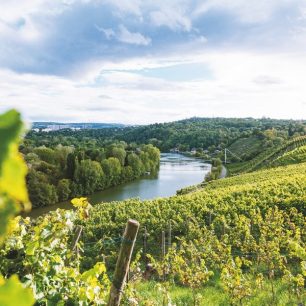 Vinařská oblast kolem řeky Neckar / F: Gregor Lengler