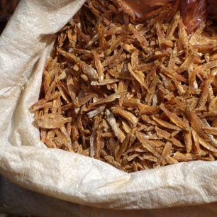 Prodej sušených ančoviček - Srí Lanka