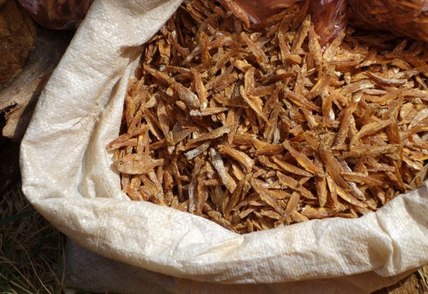 Prodej sušených ančoviček - Srí Lanka