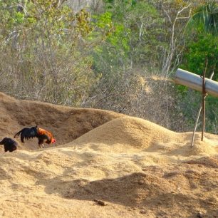 Ve mlýně - Indonésie