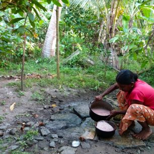 Vymývání rýže - Srí Lanka