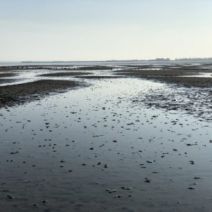 Waddenské moře / F: Eva Fischer