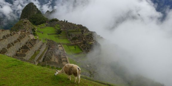 Cesta do Peru