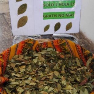 Koka listy hned na letišti! Tohle místo je ráj pro všechny, kdo milují plant medicine, rostlinné drogy